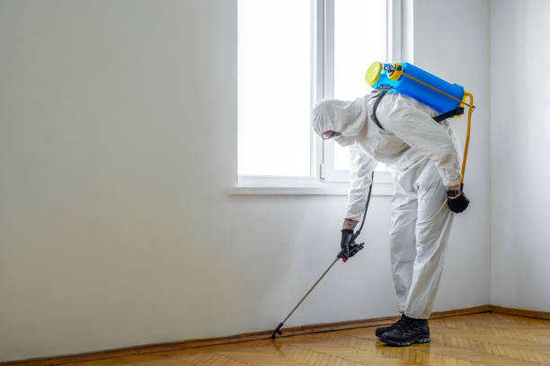 Real Estate Pest Inspections in Akron, OH